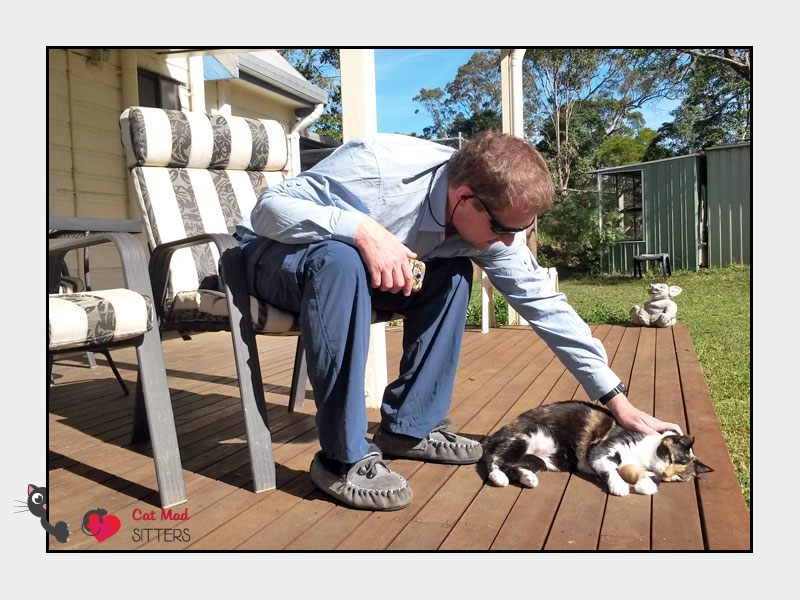 Cat Sitting in Brisbane, Australia