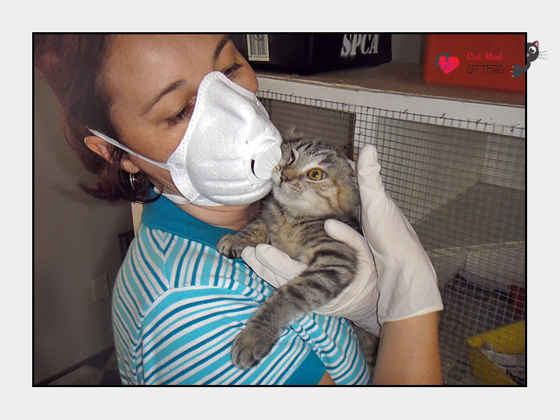 Volunteering at the SPCA, Tauranga